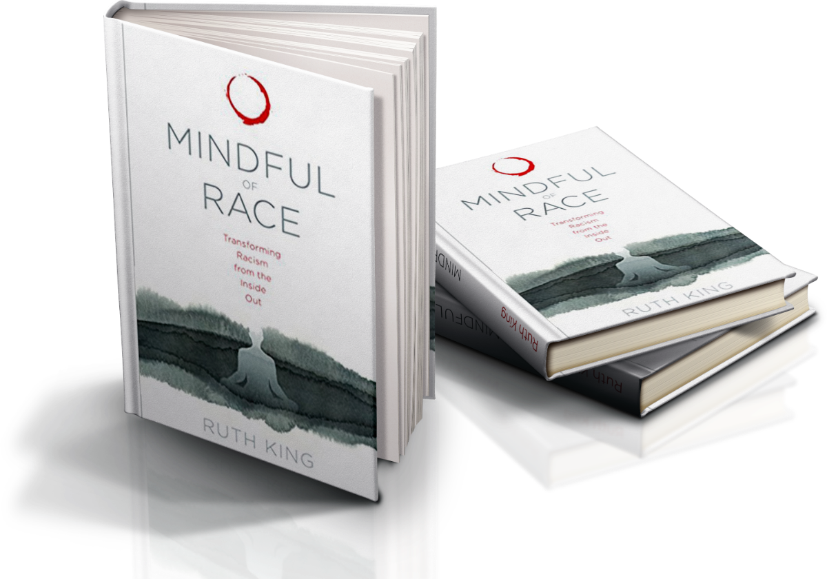 Mindful of Race Book